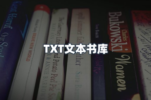 TXT文本书库